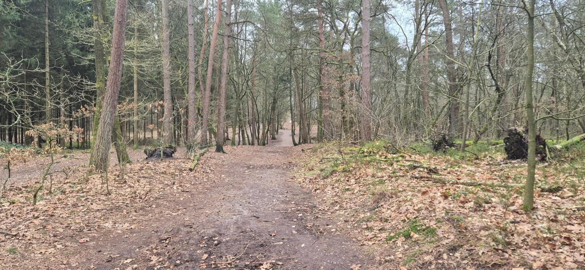 Het Veluwse Boshuisje Knus Chalet Met Omheinde Tuin Op De Veluwe Hoenderloo Bagian luar foto