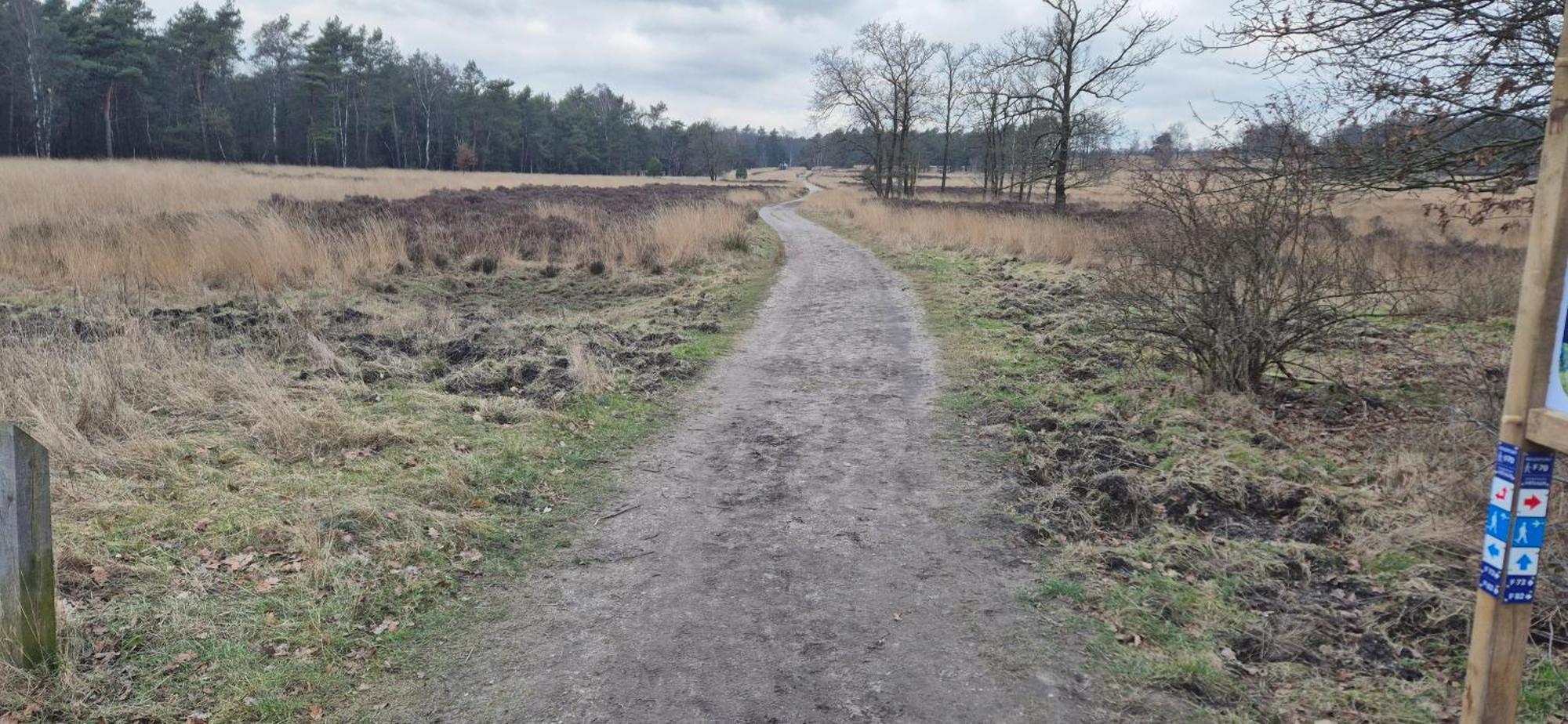 Het Veluwse Boshuisje Knus Chalet Met Omheinde Tuin Op De Veluwe Hoenderloo Bagian luar foto
