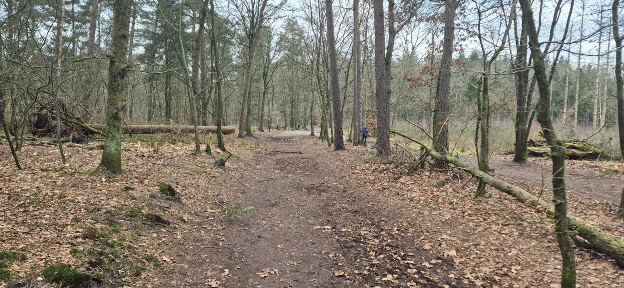 Het Veluwse Boshuisje Knus Chalet Met Omheinde Tuin Op De Veluwe Hoenderloo Bagian luar foto