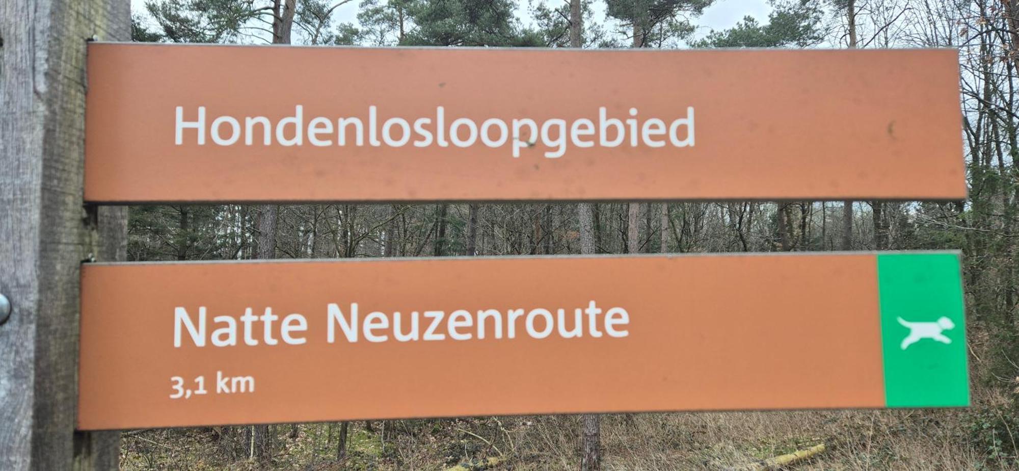 Het Veluwse Boshuisje Knus Chalet Met Omheinde Tuin Op De Veluwe Hoenderloo Bagian luar foto