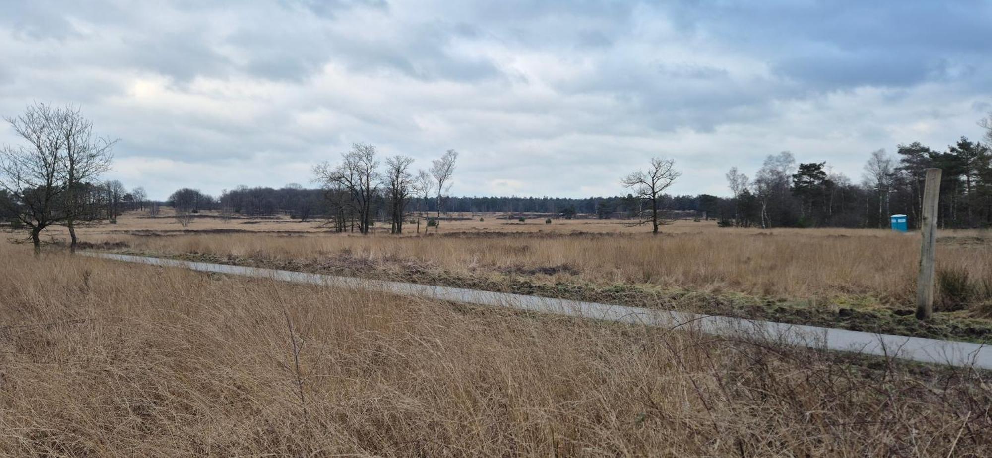 Het Veluwse Boshuisje Knus Chalet Met Omheinde Tuin Op De Veluwe Hoenderloo Bagian luar foto